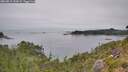 ./images/calvert/foggy-cove/20260815/foggy-cove20260815_144501M.jpg