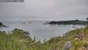./images/calvert/foggy-cove/20260815/foggy-cove20260815_172002M.jpg