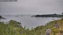 ./images/calvert/foggy-cove/20260815/foggy-cove20260815_173002M.jpg