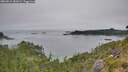 ./images/calvert/foggy-cove/20260815/foggy-cove20260815_181002M.jpg