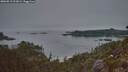 ./images/calvert/foggy-cove/20260815/foggy-cove20260815_211001M.jpg