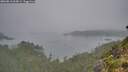 ./images/calvert/foggy-cove/20260816/foggy-cove20260816_062001M.jpg