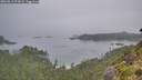 ./images/calvert/foggy-cove/20260816/foggy-cove20260816_073002M.jpg