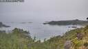 ./images/calvert/foggy-cove/20260816/foggy-cove20260816_074501M.jpg