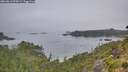 ./images/calvert/foggy-cove/20260816/foggy-cove20260816_075001M.jpg