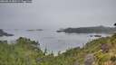 ./images/calvert/foggy-cove/20260816/foggy-cove20260816_080501M.jpg