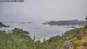 ./images/calvert/foggy-cove/20260816/foggy-cove20260816_081001M.jpg