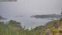./images/calvert/foggy-cove/20260816/foggy-cove20260816_081501M.jpg