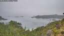 ./images/calvert/foggy-cove/20260816/foggy-cove20260816_082001M.jpg