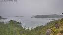 ./images/calvert/foggy-cove/20260816/foggy-cove20260816_082501M.jpg