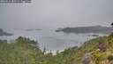 ./images/calvert/foggy-cove/20260816/foggy-cove20260816_083501M.jpg