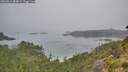 ./images/calvert/foggy-cove/20260816/foggy-cove20260816_084001M.jpg