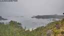 ./images/calvert/foggy-cove/20260816/foggy-cove20260816_084501M.jpg