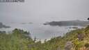 ./images/calvert/foggy-cove/20260816/foggy-cove20260816_085001M.jpg