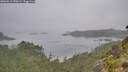 ./images/calvert/foggy-cove/20260816/foggy-cove20260816_090501M.jpg