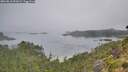 ./images/calvert/foggy-cove/20260816/foggy-cove20260816_091001M.jpg