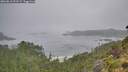 ./images/calvert/foggy-cove/20260816/foggy-cove20260816_092501M.jpg