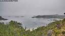 ./images/calvert/foggy-cove/20260816/foggy-cove20260816_093501M.jpg