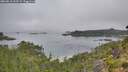 ./images/calvert/foggy-cove/20260816/foggy-cove20260816_095501M.jpg