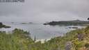 ./images/calvert/foggy-cove/20260816/foggy-cove20260816_100001M.jpg
