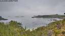 ./images/calvert/foggy-cove/20260816/foggy-cove20260816_100501M.jpg
