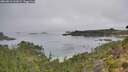 ./images/calvert/foggy-cove/20260816/foggy-cove20260816_101001M.jpg
