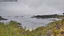./images/calvert/foggy-cove/20260816/foggy-cove20260816_101502M.jpg