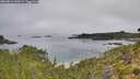 ./images/calvert/foggy-cove/20260816/foggy-cove20260816_102002M.jpg