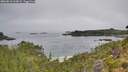 ./images/calvert/foggy-cove/20260816/foggy-cove20260816_103002M.jpg