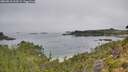 ./images/calvert/foggy-cove/20260816/foggy-cove20260816_103501M.jpg