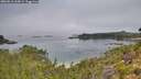 ./images/calvert/foggy-cove/20260816/foggy-cove20260816_105001M.jpg