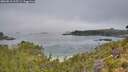./images/calvert/foggy-cove/20260816/foggy-cove20260816_105501M.jpg