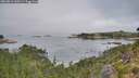 ./images/calvert/foggy-cove/20260816/foggy-cove20260816_110501M.jpg