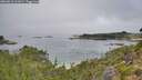 ./images/calvert/foggy-cove/20260816/foggy-cove20260816_111001M.jpg