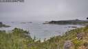 ./images/calvert/foggy-cove/20260816/foggy-cove20260816_113001M.jpg