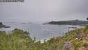 ./images/calvert/foggy-cove/20260816/foggy-cove20260816_113501M.jpg