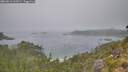 ./images/calvert/foggy-cove/20260816/foggy-cove20260816_122001M.jpg