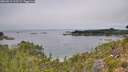 ./images/calvert/foggy-cove/20260816/foggy-cove20260816_123501M.jpg