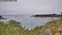 ./images/calvert/foggy-cove/20260816/foggy-cove20260816_124001M.jpg