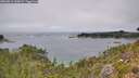 ./images/calvert/foggy-cove/20260816/foggy-cove20260816_135001M.jpg