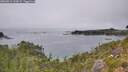 ./images/calvert/foggy-cove/20260816/foggy-cove20260816_144502M.jpg