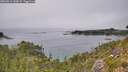 ./images/calvert/foggy-cove/20260816/foggy-cove20260816_145001M.jpg