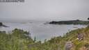 ./images/calvert/foggy-cove/20260816/foggy-cove20260816_152501M.jpg