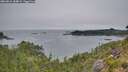 ./images/calvert/foggy-cove/20260816/foggy-cove20260816_184001M.jpg