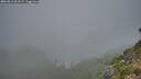 ./images/calvert/foggy-cove/20260816/foggy-cove20260816_204501M.jpg