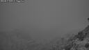 ./images/calvert/foggy-cove/20260817/foggy-cove20260817_055501M.jpg