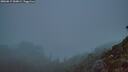 ./images/calvert/foggy-cove/20260817/foggy-cove20260817_060001M.jpg