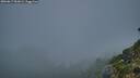 ./images/calvert/foggy-cove/20260817/foggy-cove20260817_061001M.jpg
