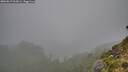 ./images/calvert/foggy-cove/20260817/foggy-cove20260817_063001M.jpg