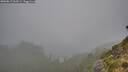 ./images/calvert/foggy-cove/20260817/foggy-cove20260817_063501M.jpg